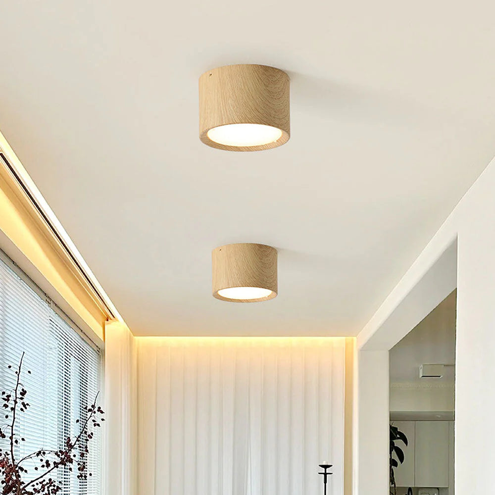 Lampada da Soffitto in Acrilico Rotonda alla Moda