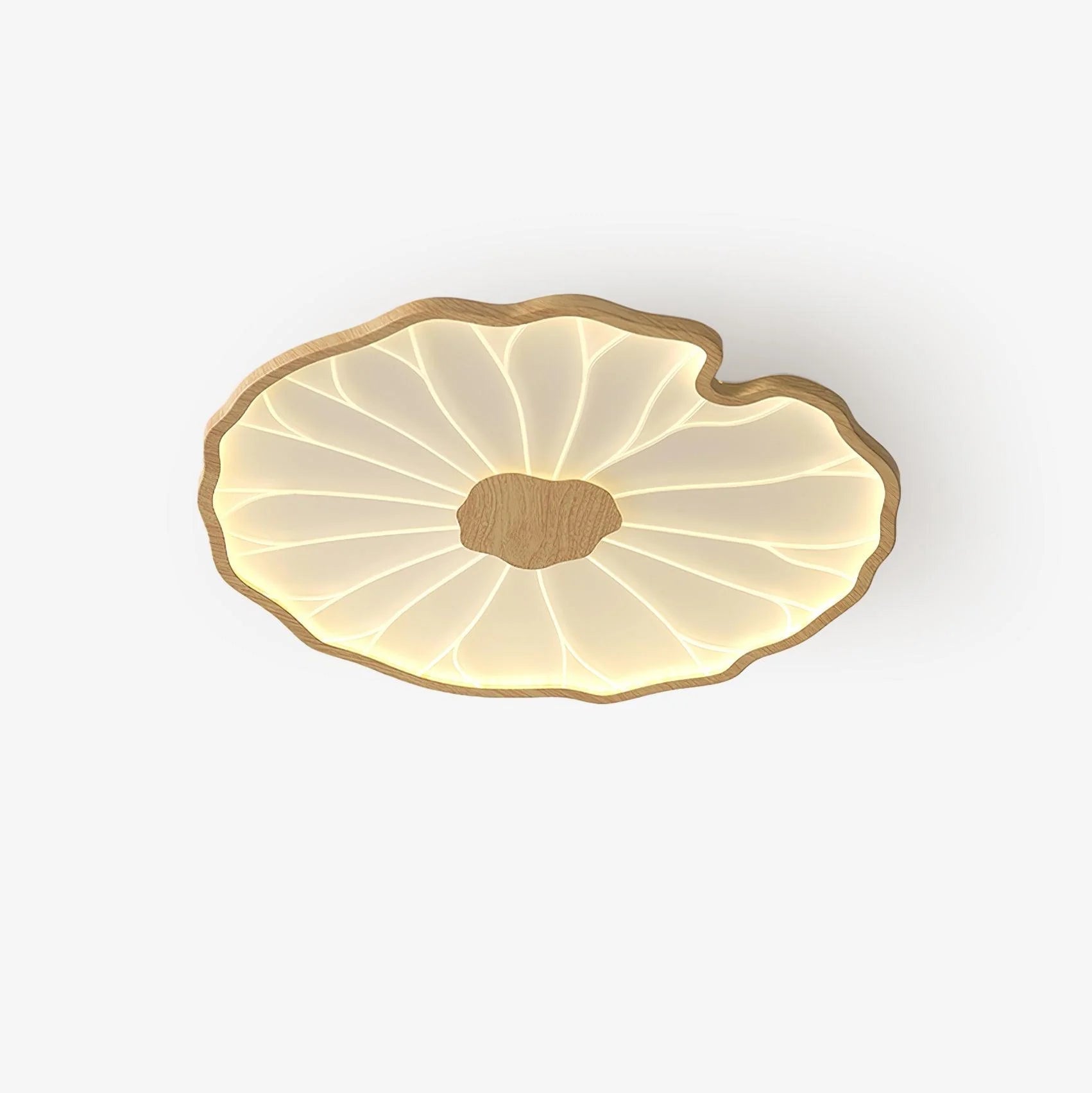 Moderna Lampada da Soffitto in Acrilico Lotus