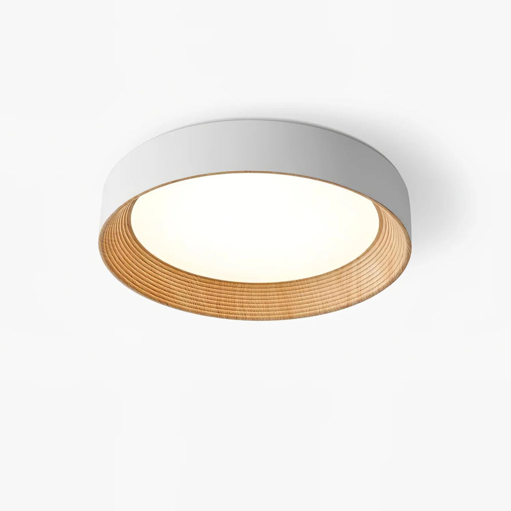 Lampada da Soffitto Circolare Acrilica di Tendenza