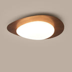 Lampada da soffitto a LED in ferro acrilico a forma di ciottolo scandinavo contemporaneo per camera da letto
