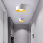 Lampada da soffitto in ferro a cupola semplice