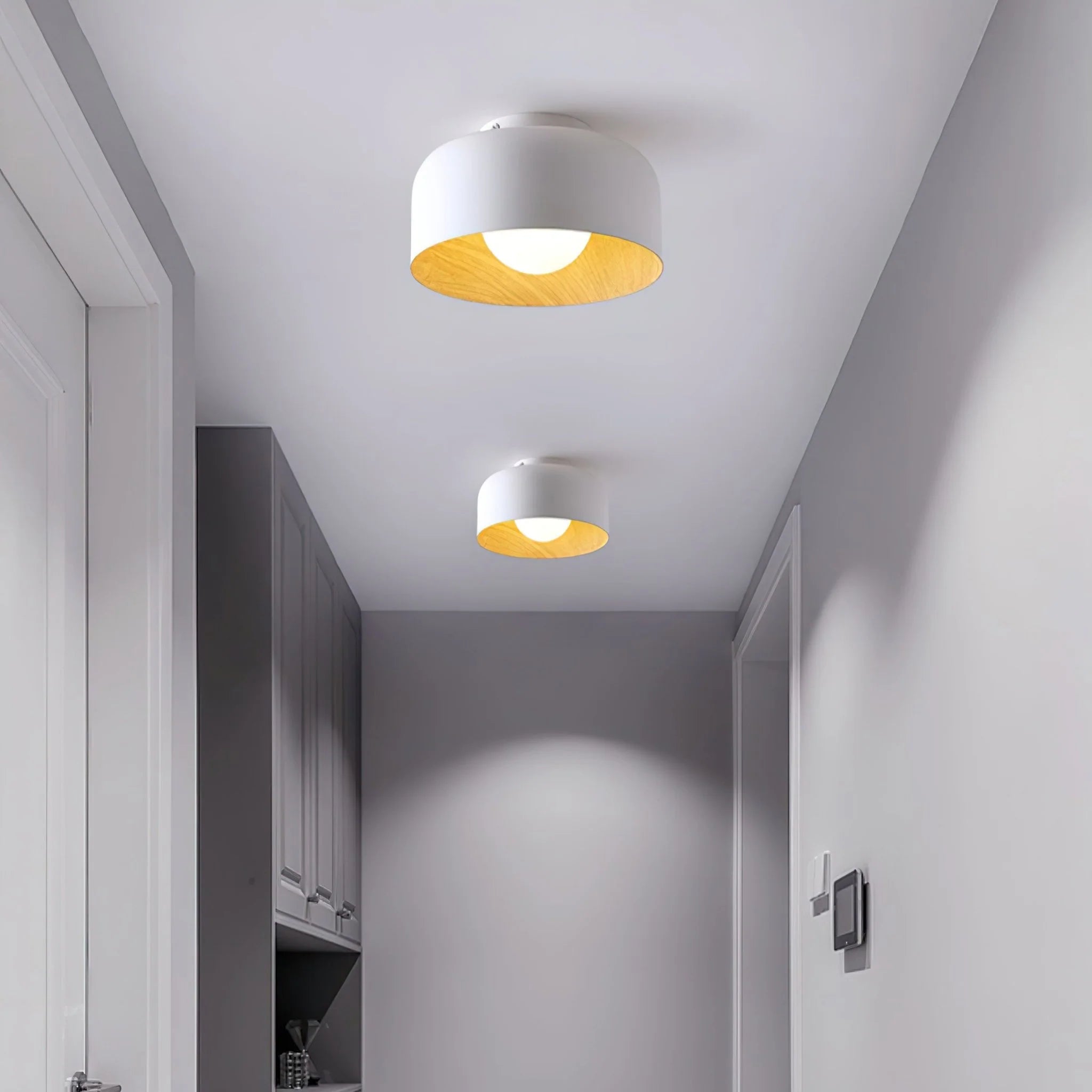 Lampada da soffitto in ferro a cupola semplice