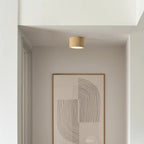 Lampada da Soffitto in Acrilico Rotonda alla Moda