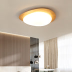 Lampada da soffitto a LED in ferro acrilico a forma di ciottolo scandinavo contemporaneo per camera da letto