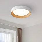 Lampada da Soffitto Circolare Acrilica di Tendenza