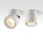 Moderna Lampada da Soffitto a Cilindro Minimalista in Alluminio LED con Angolo Regolabile per Soggiorno