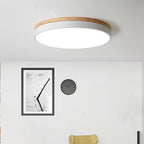 Lampada da soffitto LED rotonda in ferro acrilico minimalista moderna per camera da letto