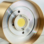 Luce a soffitto LED ultra-sottile in rame di lusso moderno per corridoio