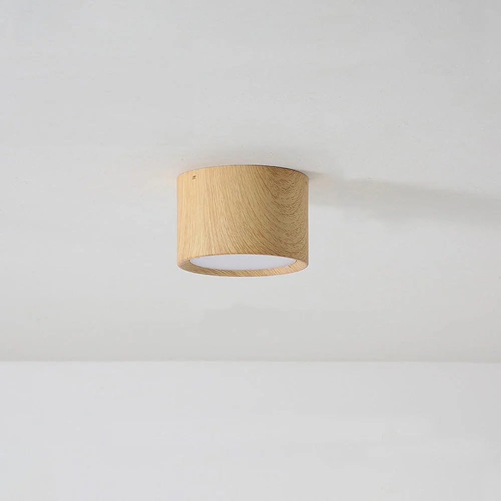 Lampada da Soffitto in Acrilico Rotonda alla Moda