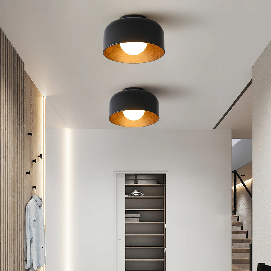 Lampada da soffitto in ferro a cupola semplice