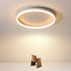 Lampada da soffitto a LED circolare minimalista nordica in ferro e acrilico