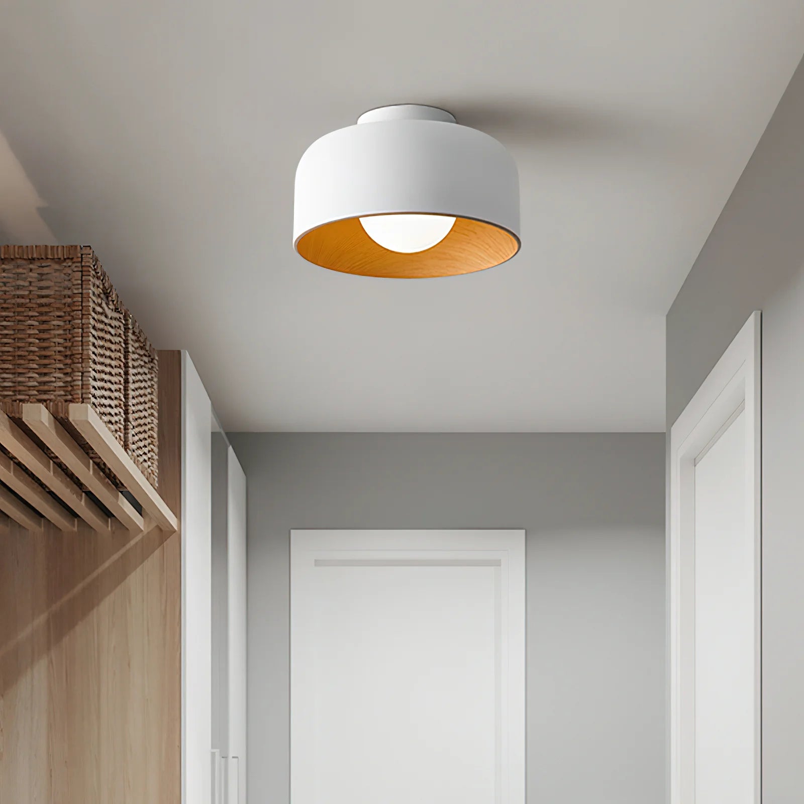 Lampada da soffitto in ferro a cupola semplice