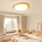 Lampada da soffitto a LED in ferro acrilico a forma di ciottolo scandinavo contemporaneo per camera da letto
