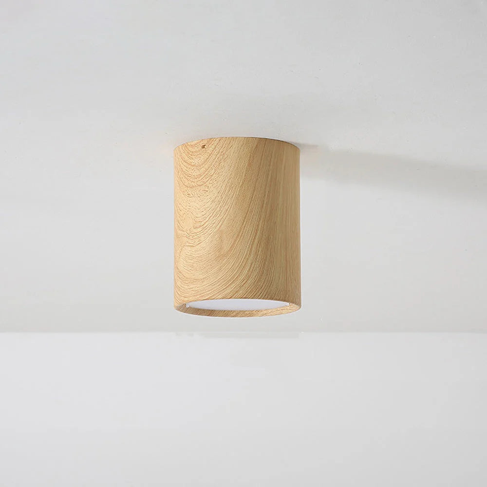 Lampada da Soffitto in Acrilico Rotonda alla Moda