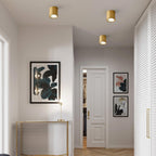 Faretto LED Moderno in Ottone Cilindrico da Soffitto