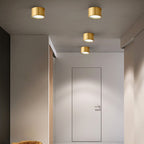 Faretto LED Moderno in Ottone Cilindrico da Soffitto