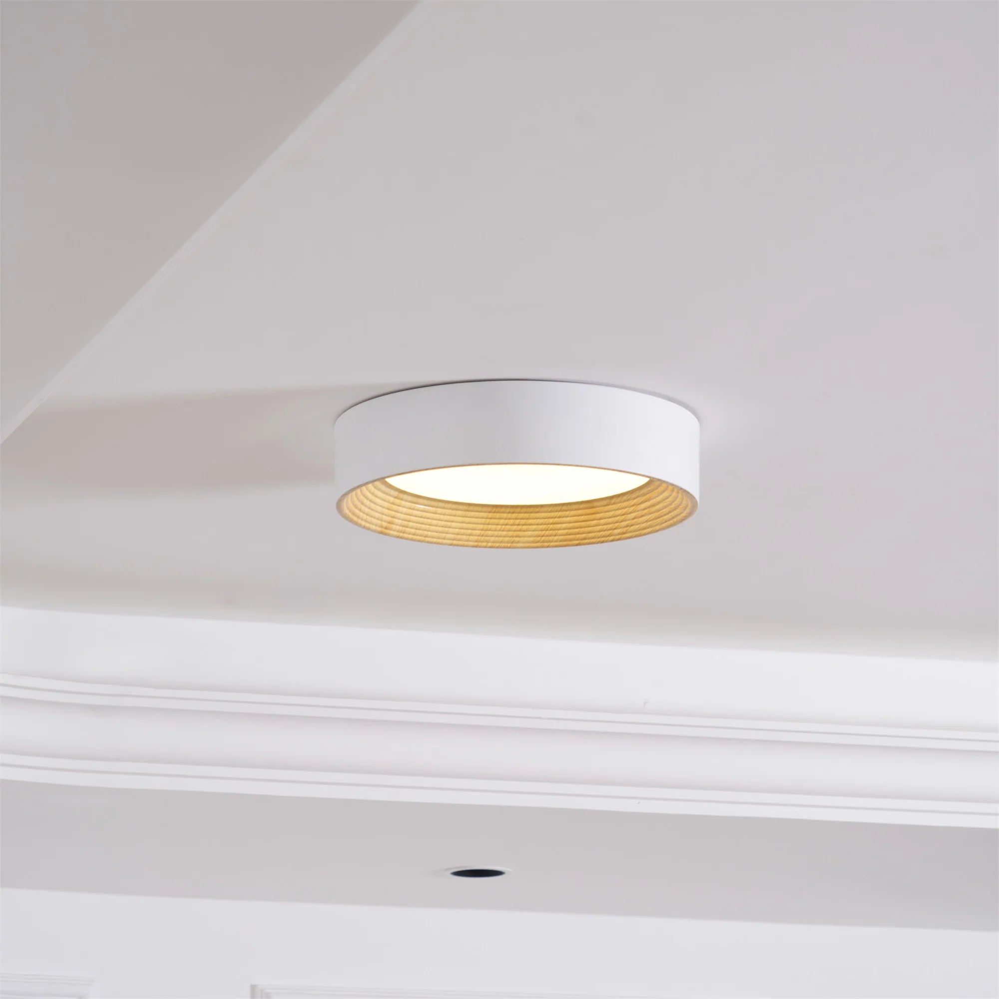 Lampada da Soffitto Circolare Acrilica di Tendenza