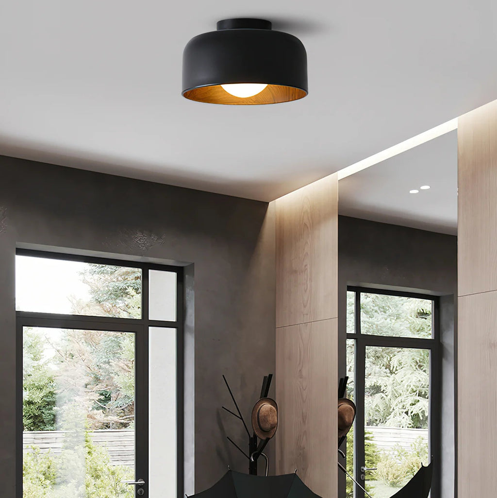 Lampada da soffitto in ferro a cupola semplice