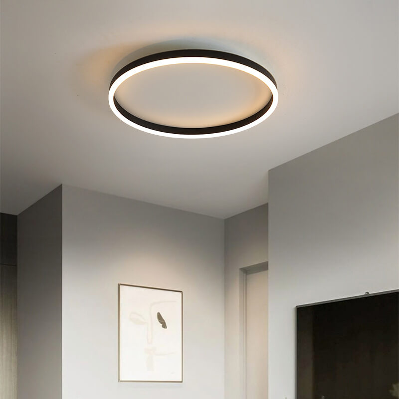 Lampada da soffitto a LED circolare minimalista nordica in ferro e acrilico