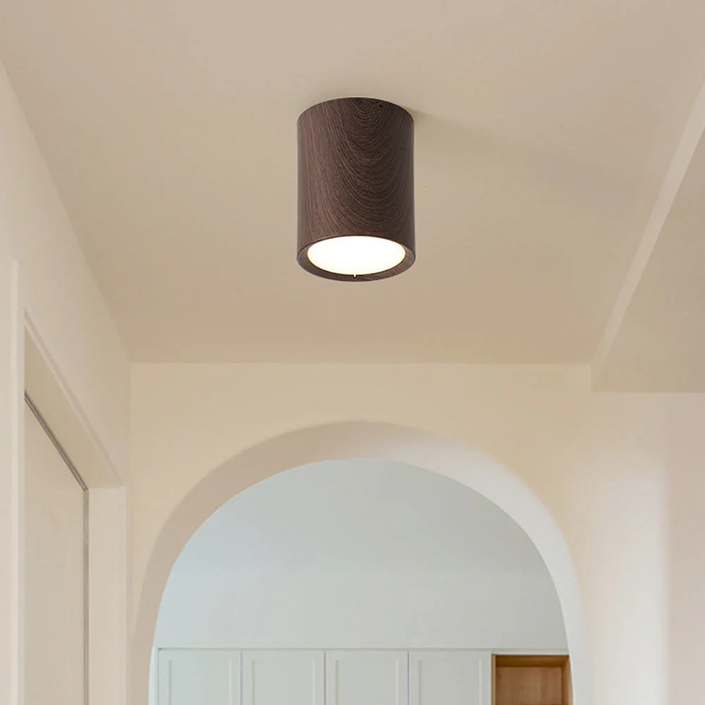 Lampada da Soffitto in Acrilico Rotonda alla Moda
