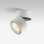Moderna Lampada da Soffitto a Cilindro Minimalista in Alluminio LED con Angolo Regolabile per Soggiorno