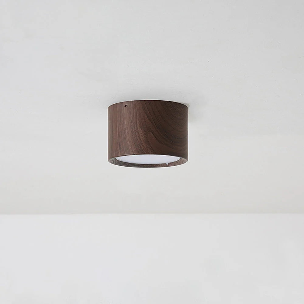 Lampada da Soffitto in Acrilico Rotonda alla Moda
