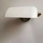 Applique da Parete Tradizionale Vintage in Vetro e Ferro con Cerniera a 1 Luce per Soggiorno