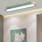 Lampada da soffitto a LED Flush Mount in ferro ovale lungo scandinavo contemporaneo per camera da letto
