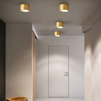 Faretto LED Moderno in Ottone Cilindrico da Soffitto