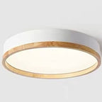 Semplice Lampada da Soffitto LED Acrilico Rotonda