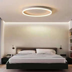 Lampada da soffitto a LED circolare minimalista nordica in ferro e acrilico