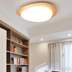 Lampada da soffitto a LED in ferro acrilico a forma di ciottolo scandinavo contemporaneo per camera da letto
