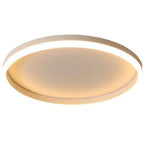 Lampada da soffitto a LED circolare minimalista nordica in ferro e acrilico