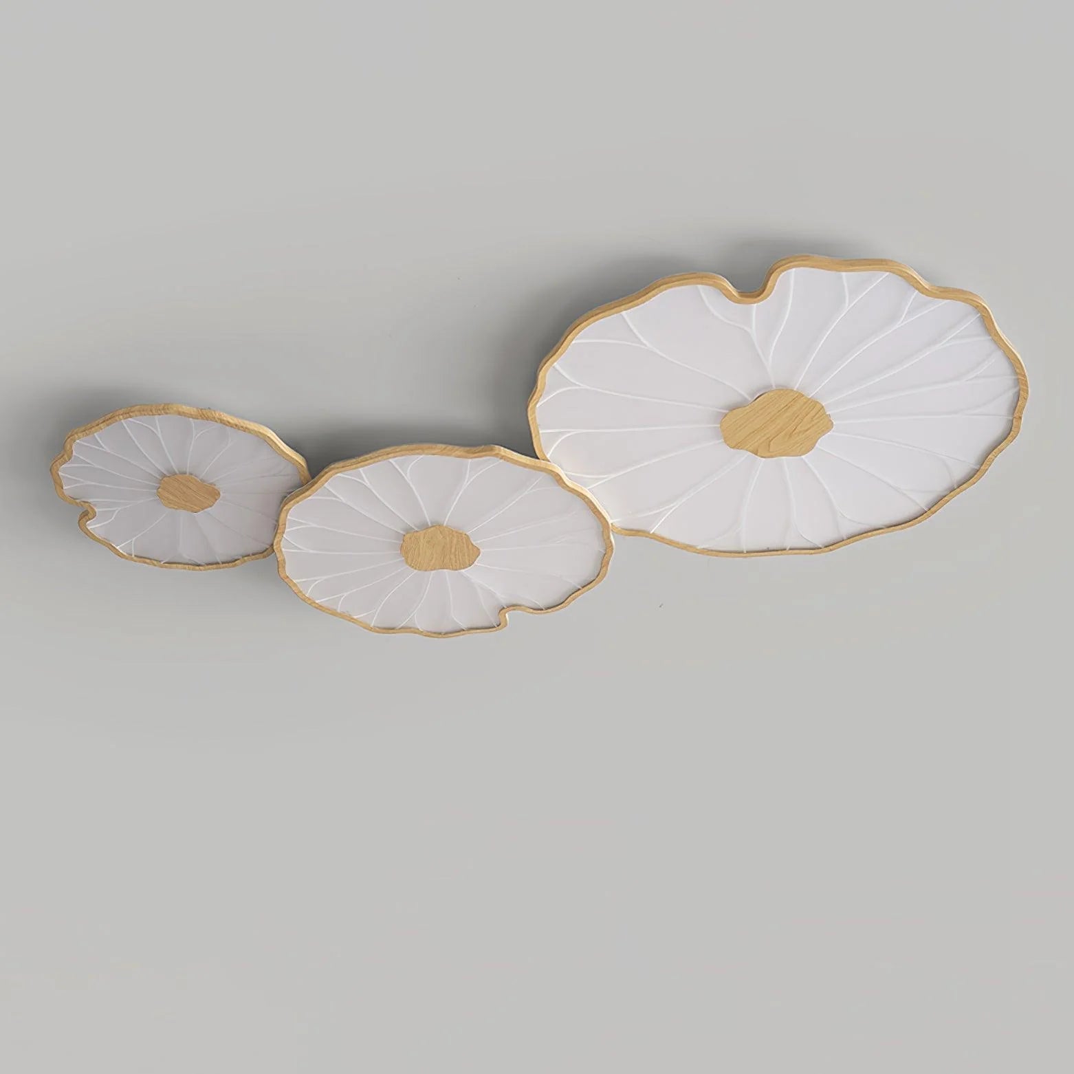 Moderna Lampada da Soffitto in Acrilico Lotus
