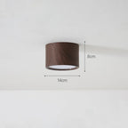Lampada da Soffitto in Acrilico Rotonda alla Moda