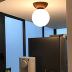 Lampada a Sospensione in Vetro e Ferro Minimalista Moderna con 1 Luce per Soggiorno