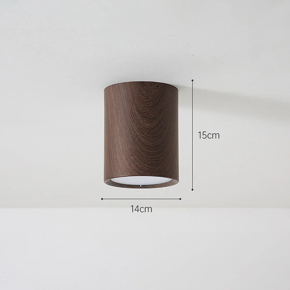 Lampada da Soffitto in Acrilico Rotonda alla Moda