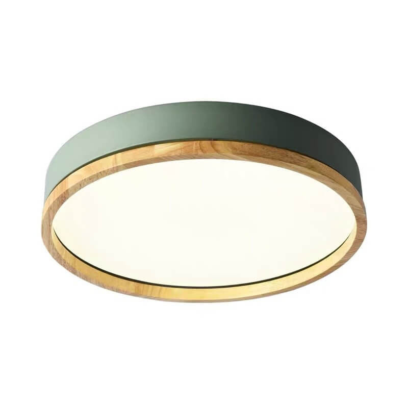 Semplice Lampada da Soffitto LED Acrilico Rotonda