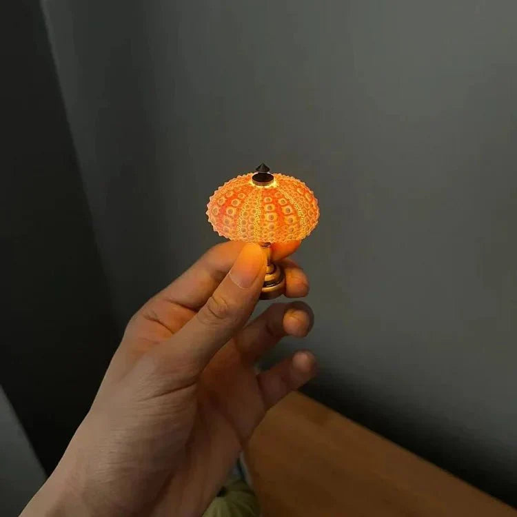Lampada notturna fai-da-te a forma di riccio di mare