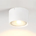 Faretto LED da soffitto cilindrico | Spotlight regolabile Design