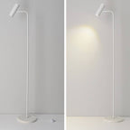 Lampada da Terra LED Regolabile in Ferro Industriale
