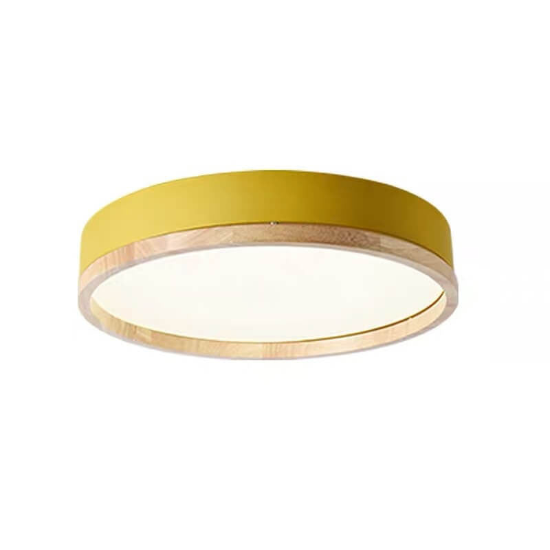 Semplice Lampada da Soffitto LED Acrilico Rotonda