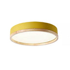 Semplice Lampada da Soffitto LED Acrilico Rotonda