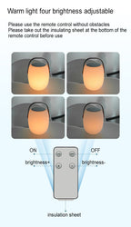 Luce Decorativa LED Portatile a Pannello Solare Impermeabile da Esterno