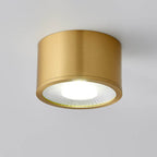 Faretto LED Moderno in Ottone Cilindrico da Soffitto