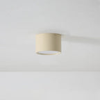 Lampada da Soffitto in Acrilico Rotonda alla Moda
