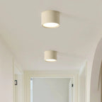 Lampada da Soffitto in Acrilico Rotonda alla Moda