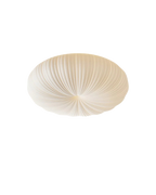 Le Halo Céleste
