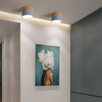 Plafoniera LED a Soffitto a Log in Colore Solido Scandinavo