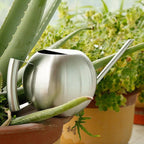 PlantFlow – Elegante annaffiatoio sferico snodato perfetto per piante delicate